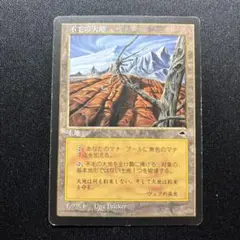 不毛の大地　英語4枚セット 2025年最新】MTG不毛の大地の人気アイテム - メルカリ