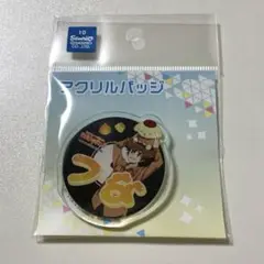 家庭教師ヒットマンREBORN!×サンリオ おなまえプレートバッジ 沢田綱吉