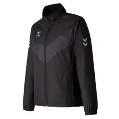 Item thumbnail for item a2836910-f2ae-4727-954a-29d5308d05fc