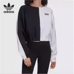 adidas カラー ブロック クロップドパーカー
