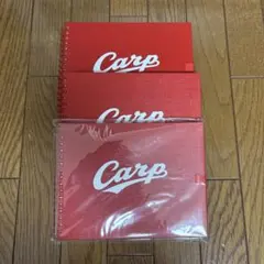 広島東洋カープ マルマン アートスパイラル スケッチブック 3冊未使用