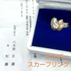 Item thumbnail for item 63c3f31a-5834-40a5-8921-7b04598fbe71