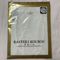 GUNZE グンゼ　長ズボン下　M 快適工房