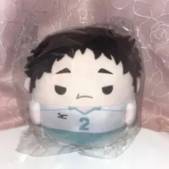 2026年最新】松川一静 ふわコロりんの人気アイテム - メルカリ