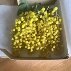 Item thumbnail for item 61a0ae27-ad08-4336-965b-371e09939471