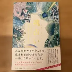 Item thumbnail for item 871c0430-ee8a-4761-b479-65a8ad8a97c4