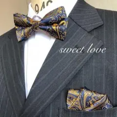 蝶ネクタイ ポケットチーフ２点セット/ネイビー＆イエローゴールドペイズリーQ