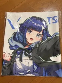 クッション付き 孤月組 朔組 はぐれ月組クッションカバー ドンケツ C91