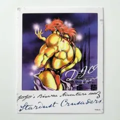 DIO ジョジョの奇妙な冒険 原作 カード ジャンプフェスタ フォトカード