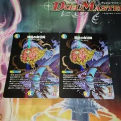 デュエルマスターズ 邪脳の魔法陣 シークレット 2枚