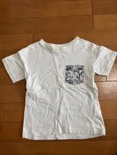 センスオブワンダー　半袖Tシャツ　動物柄のリバティ