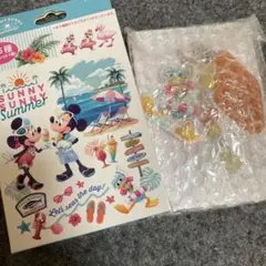 サニーサニーサマー　キーチェーン　ドナルド