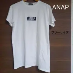 レディース　ANAPTシャツ　白　ホワイト 綿100％　フリーサイズ