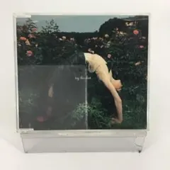 邦楽CDシングル　globe try this shoot〈セル盤〉SCDく