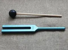 マドモアゼル愛 音叉 ニチオン 美容チューナー 2本セット 2025年最新】音叉チューナー マドモアゼル愛の人気アイテム