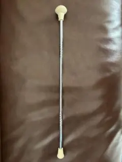 Item thumbnail for item 1582a59f-26c7-4283-93d8-bf257349d796