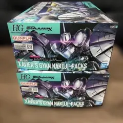 HG 1/144 엑자베 익스클루시브 간하쿠지 이펙트 2팩