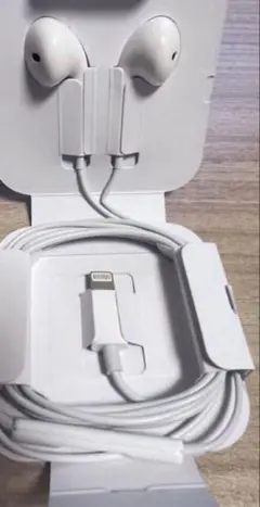 Apple iPhone イヤホン