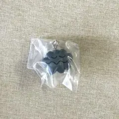 DAISUKE KONDO めじるしアクセサリー くも