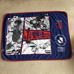 Jリーグ　FC東京 ブランケット 非売品 2/14来場記念　非売品　防寒