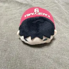 影山飛雄　のるきゃら