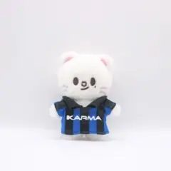 H.hy様　リービット服、ジニレット服、ポガリ服、 skzooぬい服マイクロ てるてるぼうず ハン ポガリ ジニレット