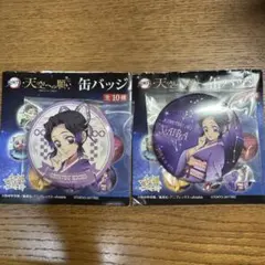 鬼滅の刃 天空への願い 東京スカイツリー 缶バッジ 胡蝶しのぶ 鬼滅の刃 天空への願い スカイツリー 缶バッジ 胡蝶しのぶ 鬼滅