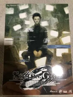 Steins Gate 0 PC版ソフト