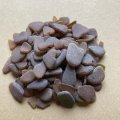 Item thumbnail for item b6b861e1-a11c-41e8-834c-93cc285644ac