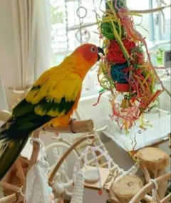 Item thumbnail for item 34d09839-6866-4edc-a22d-1bcaf468ff7d