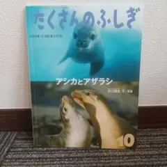 たくさんのふしぎ 2024年10月号