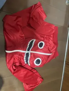 Item thumbnail for item 68867788-cf65-403a-aca3-024be872ed28