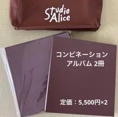 スタジオアリス コンビネーションアルバム ブラウン 増えデジ