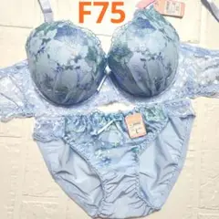 脇高 f75