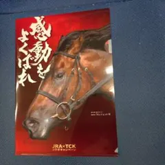 非売品未使用　JRA×TCK 馬のクリアファイル ダノンデサイル　ラムジェット