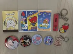 BTS BT21 タイニータン キーホルダー バッジ セット