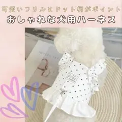 【XSサイズ】ハーネス＆リードセット ペット ホワイト ドット柄 フリル 犬用