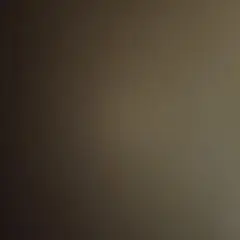 専用