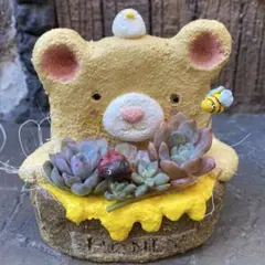 Item thumbnail for item 787ad06d-7f50-4e78-a969-52dd9fb02c7c