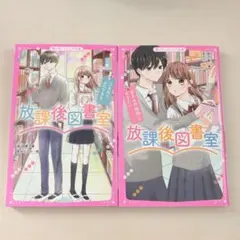 野いちごジュニア文庫 放課後図書室 2冊セット