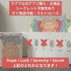 正規品・未開封 ラブブ エナジー BigintoEnergy ラスト1ピース