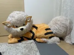 2026年最新】ウインディ添い寝の人気アイテム - メルカリ