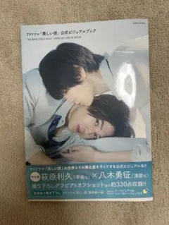TVドラマ「美しい彼」公式ビジュアルブック