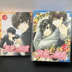 2026年最新】世界一初恋dvdの人気アイテム - メルカリ