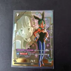 ブルマUCパラレル