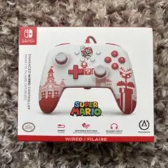 プロコン switch