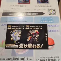 色違い　ミライドン　コライドン　2体セット