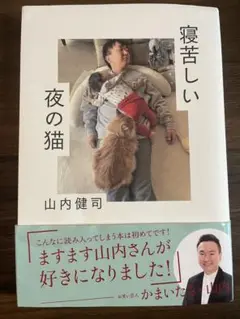 寝苦しい夜の猫