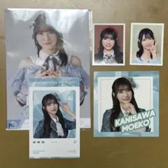 ノイミー 蟹沢萌子 まとめ売り