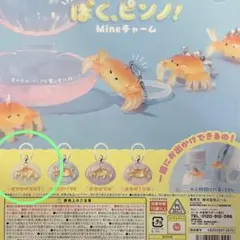 ぼく、ピンノ！ Mineチャーム おでかけなの？